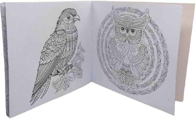 Generic 24 Count Coloring Book, 24 Professional Drawings Material, Suitable for Adults and Kids