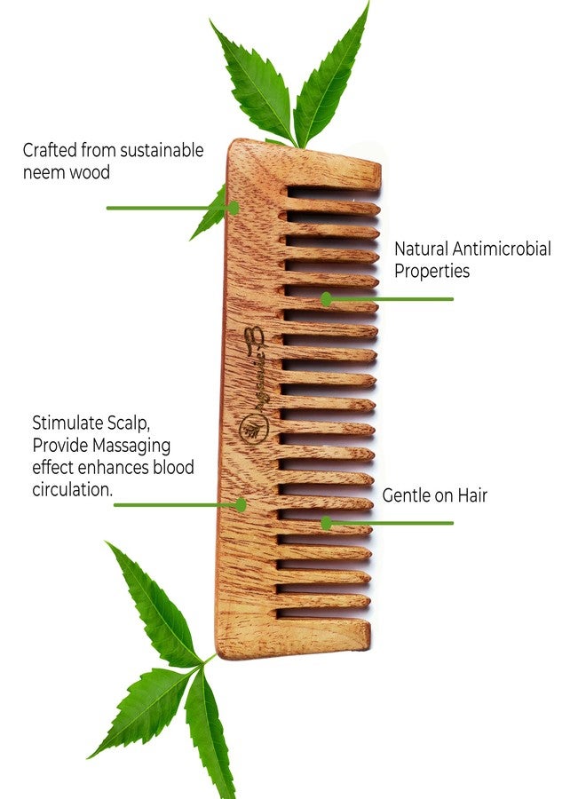 Organic B Comb for Women | Neem Comb Soaked Infused with Premium Rosemary & Castor Oil | Detangling, Frizz Control & Lustrous Shine | Neem Comb for Women & Men | For All Types of Hair - Image 2