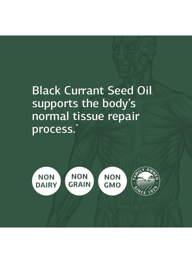 Standard Process Standard Process Black Currant Seed Oil - Immune Support, Blood Flow Support, and Tissue Repair Support with Whole Food Blend of Black Currant Seed Oil and Gamma-Linoleic Acid - 60 Softgels  - Image 3
