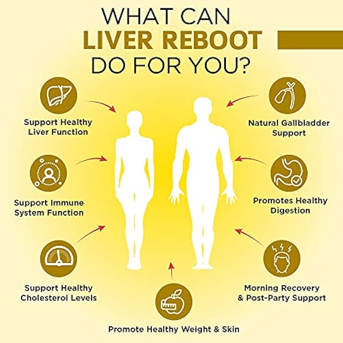 OmniBiotics Liver Cleanse Detox & Repair Supplement – Milk Thistle, Dandelion Root, Alpha Lipoic Acid, Artichoke Extract, Schisandra, Silymarin – 60 Vegan Capsules - Image 4