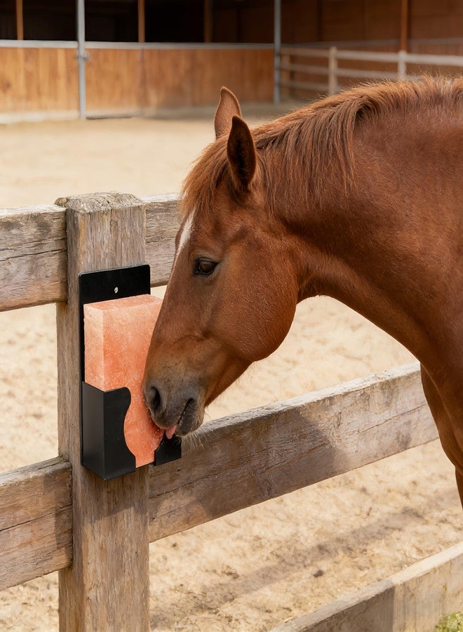Dmnnlp 3 Pcs 4lb Mineral Salt Block Holder, 4.72"x2.8"x7.5" Small Acrylic Salt Lick Holder with Screwdriver Screws, Wall Mount for Horses, Deer, Goats, Cattle - Horse Feeding Supplies (Black) - Image 5