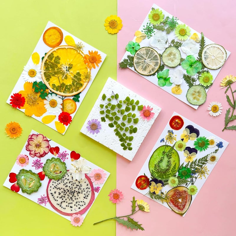 MIKIYA 75Pcs Pressed Dried Flowers Fruits for Resin Molds, Real Natural Bulk Assorted Dry Floral Leave for DIY Art Crafts, Epoxy Jewelry, Candle, Soap Making, Nails Decors Gifts - Image 3