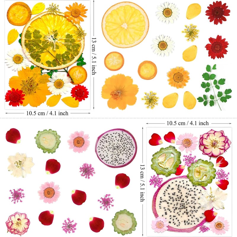 MIKIYA 75Pcs Pressed Dried Flowers Fruits for Resin Molds, Real Natural Bulk Assorted Dry Floral Leave for DIY Art Crafts, Epoxy Jewelry, Candle, Soap Making, Nails Decors Gifts - Image 5