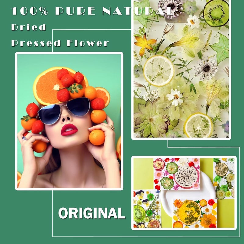 MIKIYA 75Pcs Pressed Dried Flowers Fruits for Resin Molds, Real Natural Bulk Assorted Dry Floral Leave for DIY Art Crafts, Epoxy Jewelry, Candle, Soap Making, Nails Decors Gifts - Image 2