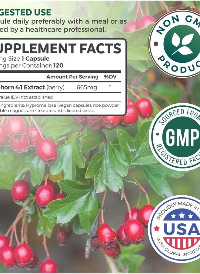 Healths Harmony - Hawthorn Berry Capsules - High Strength 4:1 Extract - Natural Blood Pressure Support Supplement - Helps Maintain Blood Pressure Levels Already in The Normal Range - 120 Vegan Capsules (No Pills) - Image 1