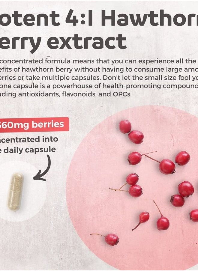 Healths Harmony - Hawthorn Berry Capsules - High Strength 4:1 Extract - Natural Blood Pressure Support Supplement - Helps Maintain Blood Pressure Levels Already in The Normal Range - 120 Vegan Capsules (No Pills) - Image 1