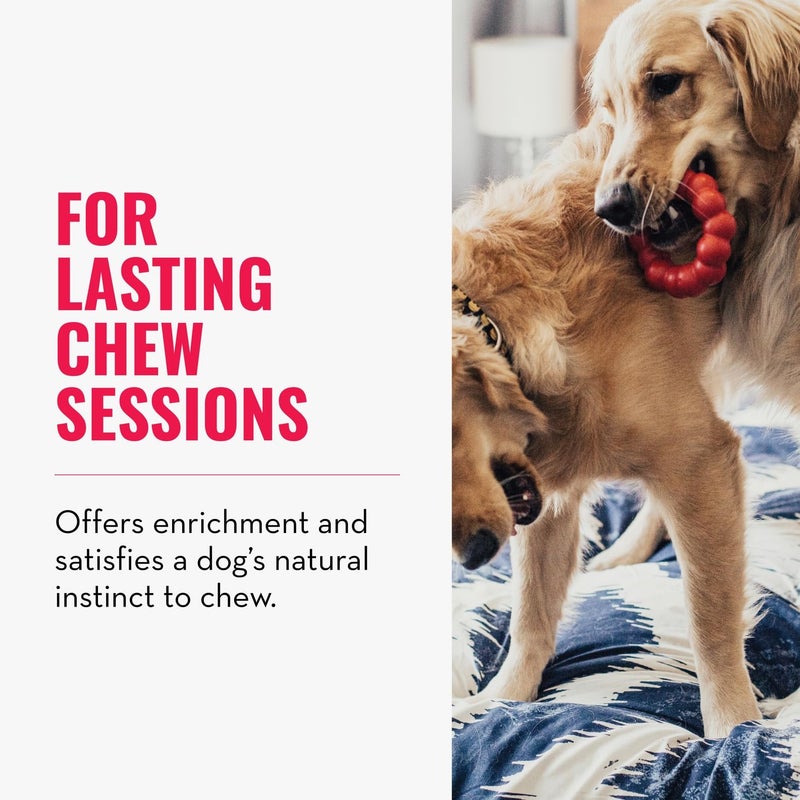 KONG Ring - Natural Rubber Ring Toy for Healthy Chewing Habits - Chew Toy Supports Dog Dental Health - Dog Toy Supports Instincts During Playtime - for Medium/Large Dogs - Image 3