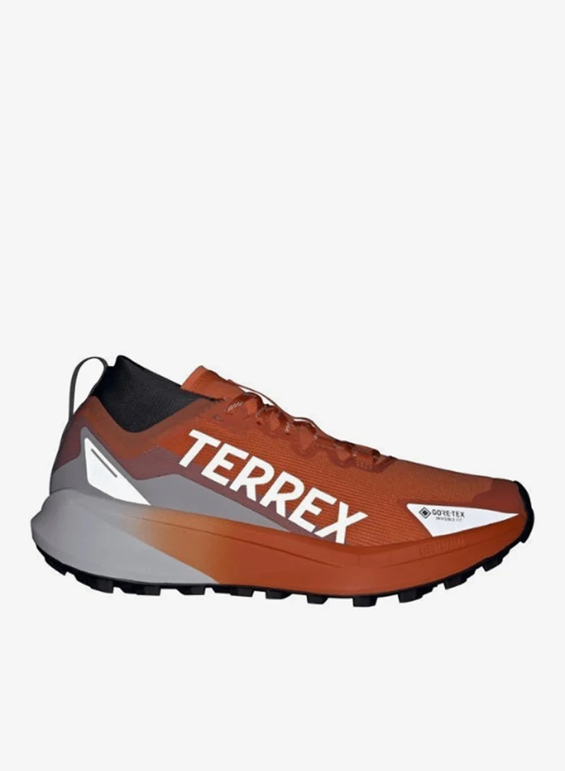 Adidas Terrex Agravic Gtx Trail Running Shoes