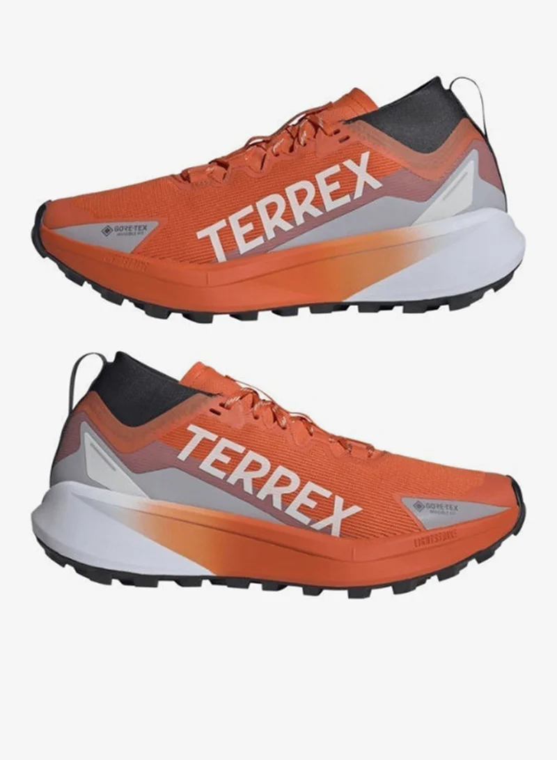Adidas Terrex Agravic Gtx Trail Running Shoes