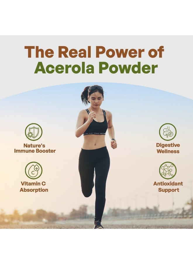 Go Nutra Go Nutra Acerola Powder Organic Freeze Dried 18% Vitamin C Powder Brazil Origin - 8oz  - Image 4