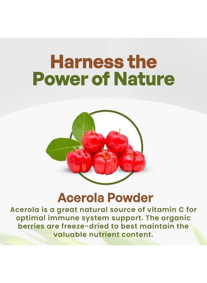 Go Nutra Go Nutra Acerola Powder Organic Freeze Dried 18% Vitamin C Powder Brazil Origin - 8oz  - Image 3