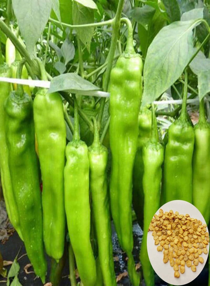 GGOOT Seed Plant200Pcs Super Hot Chili Pepper Seeds Garden Farm Plant Nutritious Spice Vegetable - Chili Seeds - Image 1