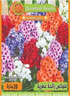 Generic High germination rate flower seeds - aromatic - phlox flower 