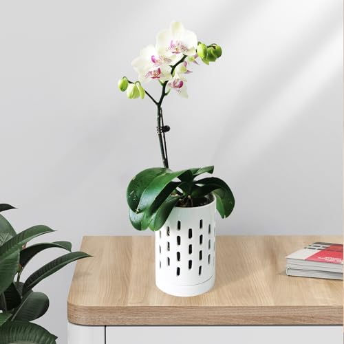 pavtner Orchid Pots with Holes,4 Inch Ceramic Orchid Pot for Repotting, Plant Pot for Repotting Orchids and Other Flowers - Indoor/Outdoor White - Image 5