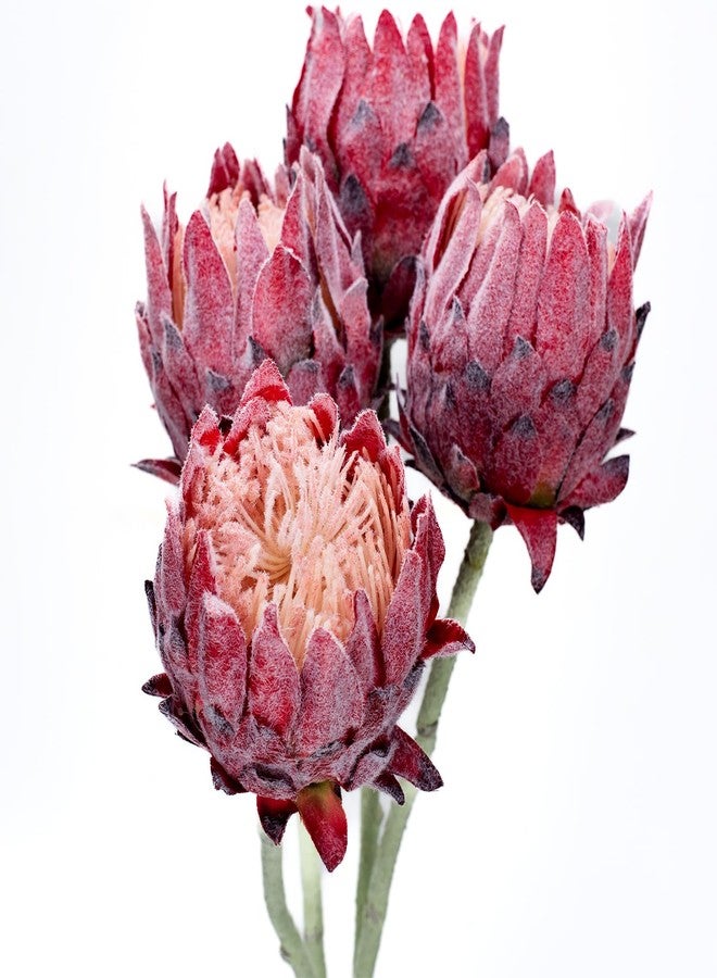 v2croft 4 Pack Artificial King Protea Flowers – Lifelike Tropical Floral Arrangements for Wedding Centerpiece & Home Decor, Faux Protea Cynaroides with Stems for Office, Party & Table Displays - Image 1