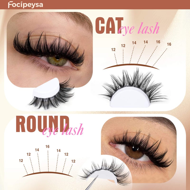 Focipeysa Wispy Lash Clusters Fairy Lashes 12-16mm Eyelashes Clusters Natural Look Lashes Extensions Salon Effect Individual Eyelash Extensions DIY Lash Extension at Home - Image 5