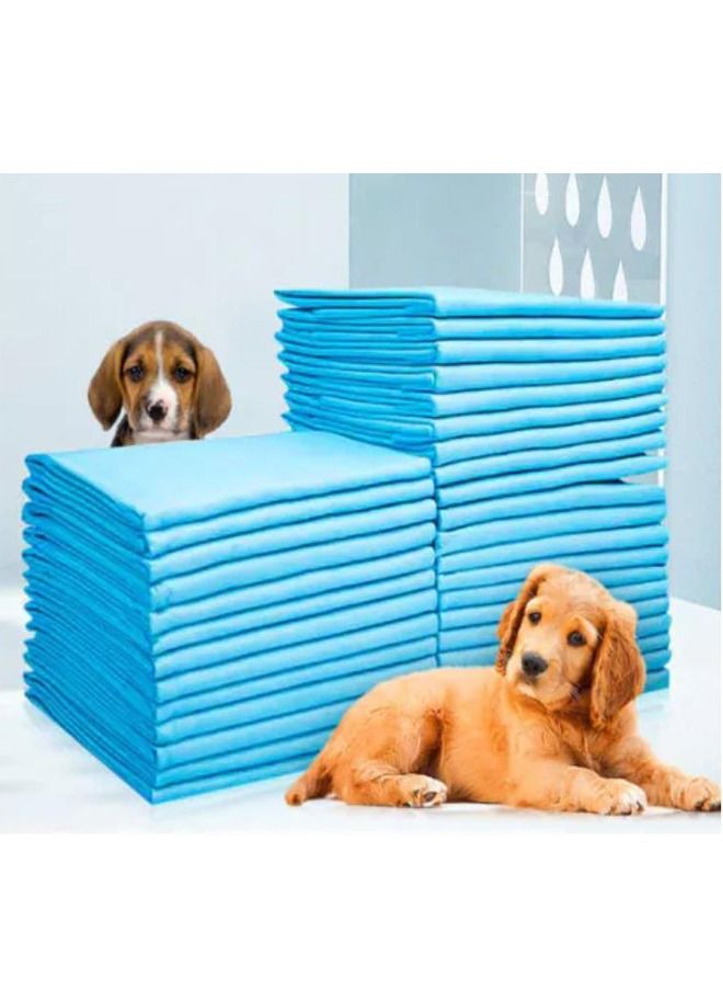 وسادات بول فائقة الامتصاص ومضادة للتسرب 60 × 60 سم 40 قطعة (كبيرة) - Image 1