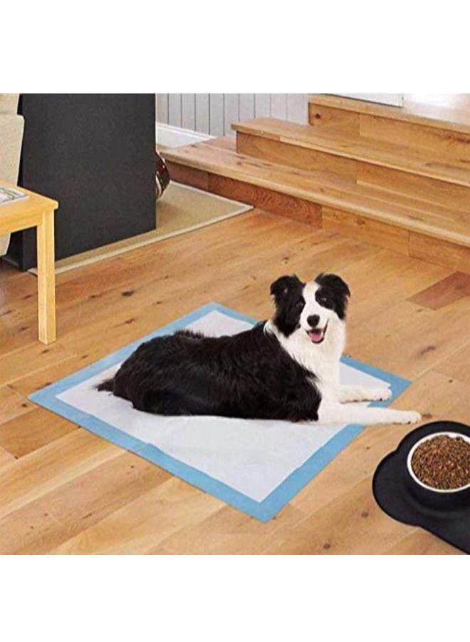 وسادات بول فائقة الامتصاص ومضادة للتسرب 60 × 60 سم 40 قطعة (كبيرة) - Image 2