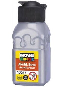 Nova Color Acrylic Paint Bottle Silver 