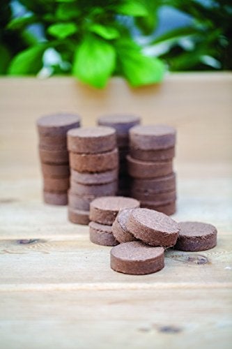 Burpee 32 Count Coir XL Super Growing Pellet 35mm - Image 2