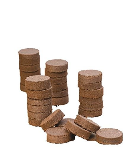 Burpee 32 Count Coir XL Super Growing Pellet 35mm - Image 4