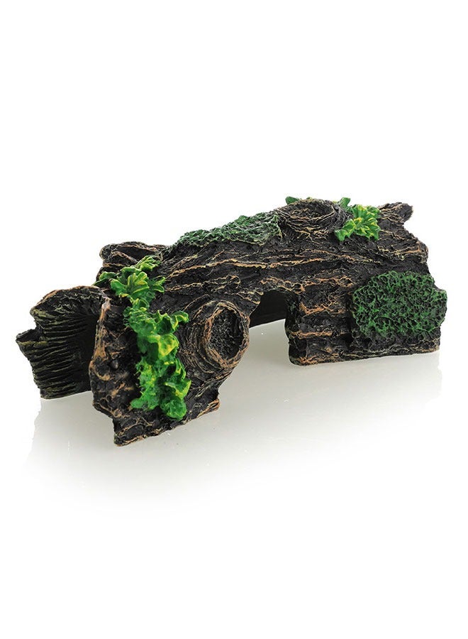 وهاواي Fish Tank Decorations Resin Hollow Tree Trunk Ornament, Bettas House Cave Wood House Decor for Aquarium Decorations 16x8x5cm - Image 1