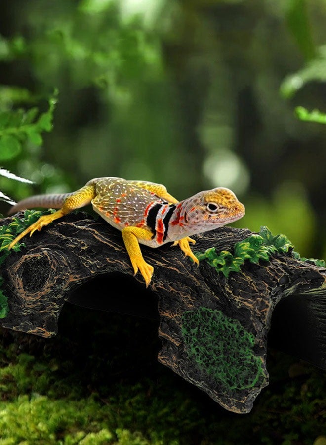 وهاواي Fish Tank Decorations Resin Hollow Tree Trunk Ornament, Bettas House Cave Wood House Decor for Aquarium Decorations 16x8x5cm - Image 5