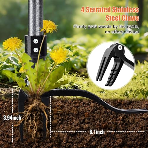 GOXAWEE Metal Stand Up Weed Puller Tool - 45" Garden Weeding Tool with Steel Long Handle & 4-Claw Steel Head - Effortlessly Remove Weeds Without Bending/Kneeling - All Steel Construction - Image 4