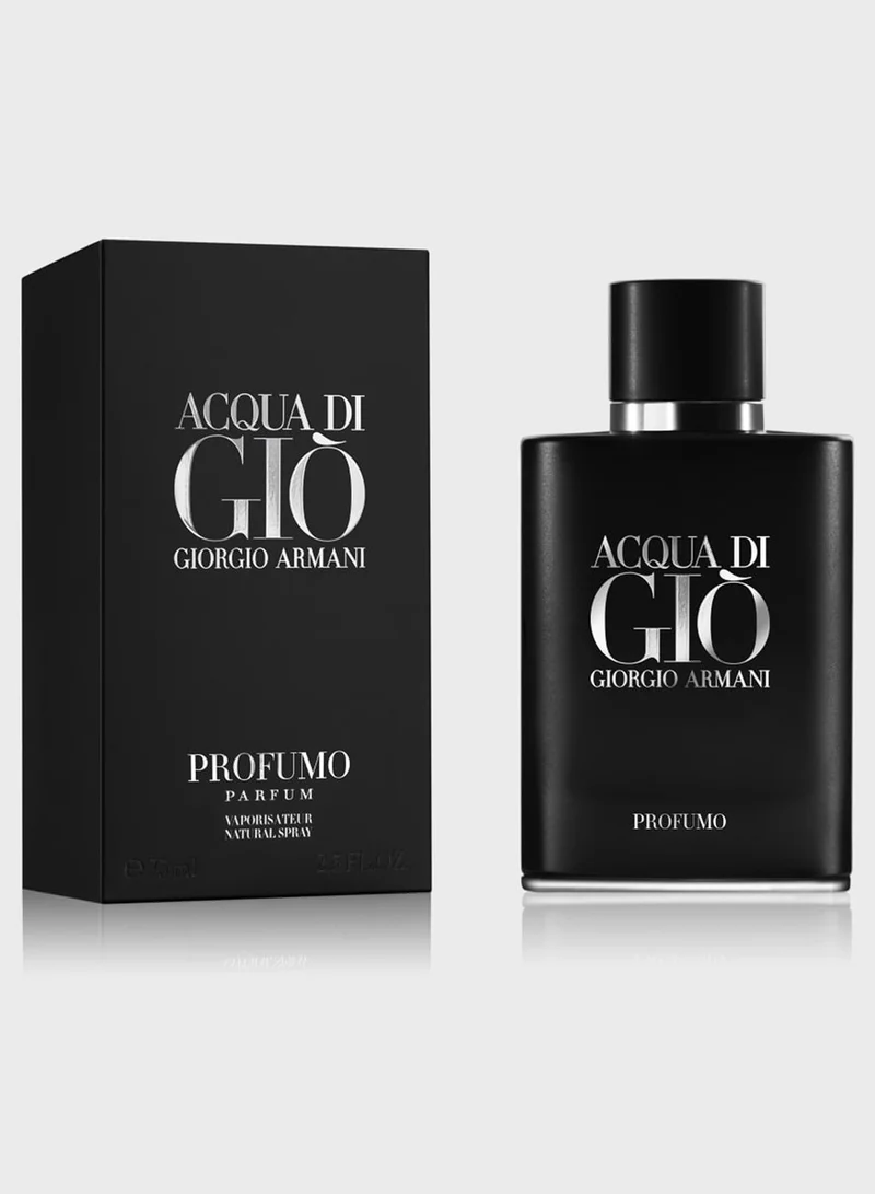 armani Giorgio Armani Acqua Di Gio Profumo Mens Parfum 75ml