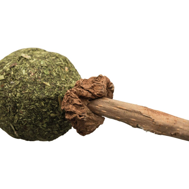 Trixie Cat Toy, Matatabi Lolly, 27 Gram (42430) - Image 2