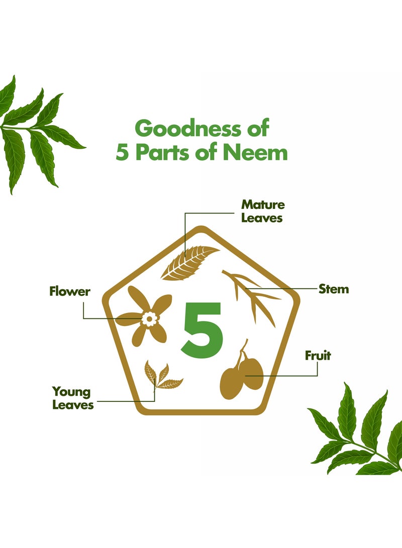 Himalaya Purifying Neem Serum - Image 4