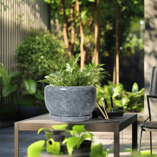SQOWL Ceramic Pot for Plants - 10 Inch Plant Pot Indoor with Drainage Hole and Saucer, Round Ceramic Planter, Decorative Large Flower Pot Outdoor, Home Office Room Decor, Garden Gifts, Gray - Image 5