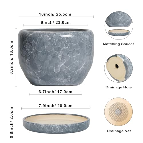 SQOWL Ceramic Pot for Plants - 10 Inch Plant Pot Indoor with Drainage Hole and Saucer, Round Ceramic Planter, Decorative Large Flower Pot Outdoor, Home Office Room Decor, Garden Gifts, Gray - Image 3