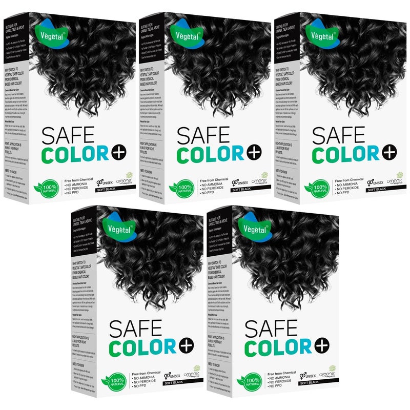 Vegetal Safe Hair Color Soft Black 100gm Pack of 5 Certified Organic Chemical and Allergy Free Bio Natural Hair Color with No Ammonia Formula for Men Women - Image 1