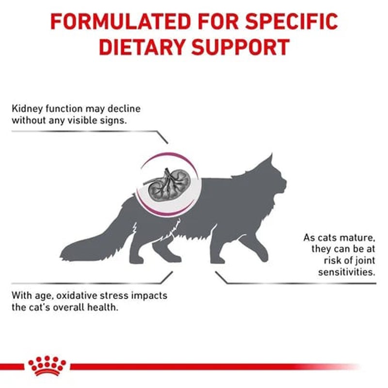 Royal Canin Early Renal Dry Cat Food (1.5 kg) - Image 3