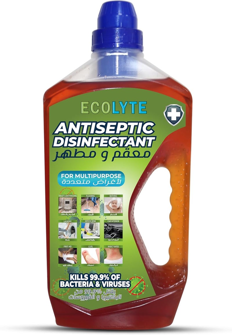 ECOLYTE+ Antiseptic Disinfectant Liquid - Image 1