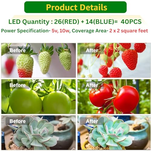 ecofynd Bluma 2 Years Warranty Grow Light for Indoor Plants (Herbs, Leafy Plants & Flowering), Auto On/Off Automatic Timer, 2 Head 10 Watt LED Artificial Sunlight, 1.3M Wire Type C Connector (003) - Image 5