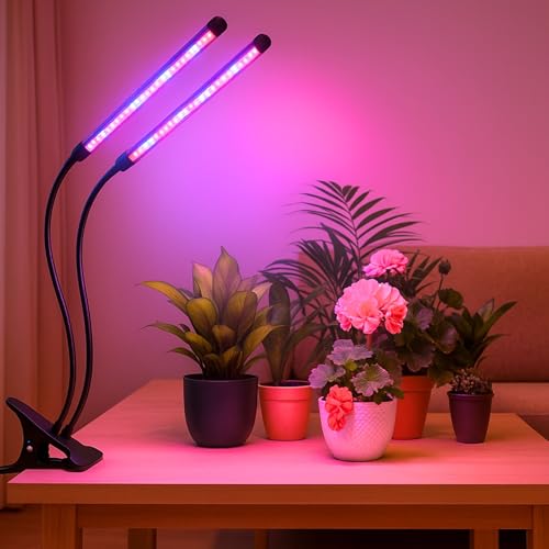 ecofynd Bluma 2 Years Warranty Grow Light for Indoor Plants (Herbs, Leafy Plants & Flowering), Auto On/Off Automatic Timer, 2 Head 10 Watt LED Artificial Sunlight, 1.3M Wire Type C Connector (003) - Image 1