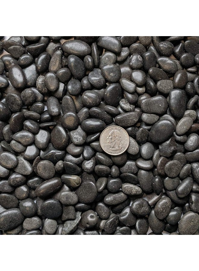 ميدويست هيرث حصى سوداء مصقولة مزخرفة من ميدويست هيرث، مقاس 3/8 بوصة (كيس 2 رطل) - Image 2