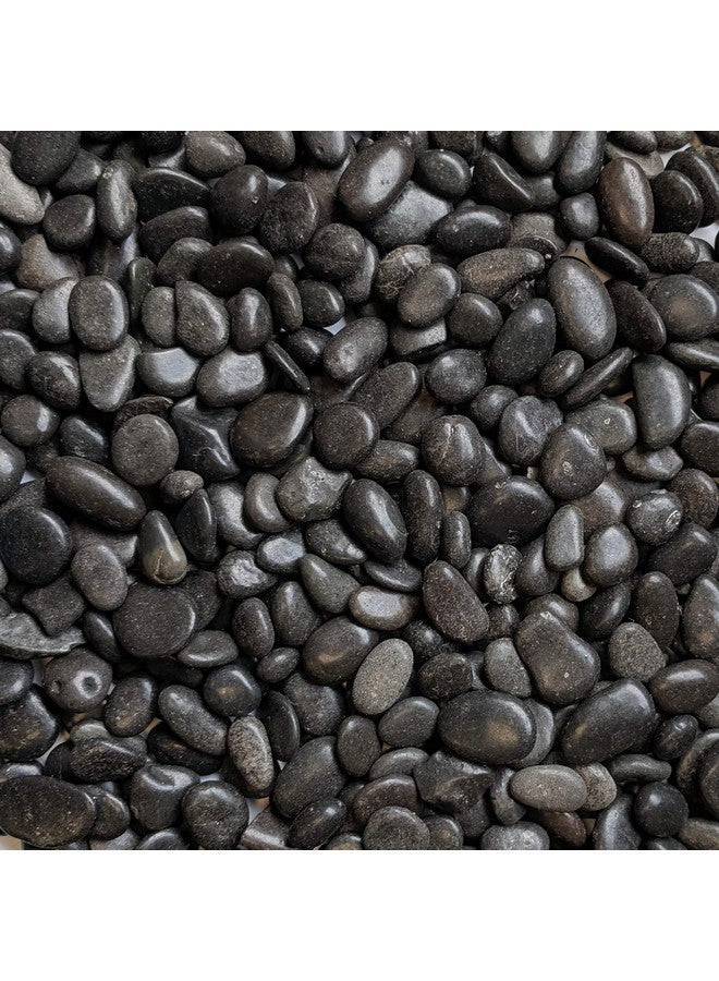 ميدويست هيرث حصى سوداء مصقولة مزخرفة من ميدويست هيرث، مقاس 3/8 بوصة (كيس 2 رطل) - Image 1