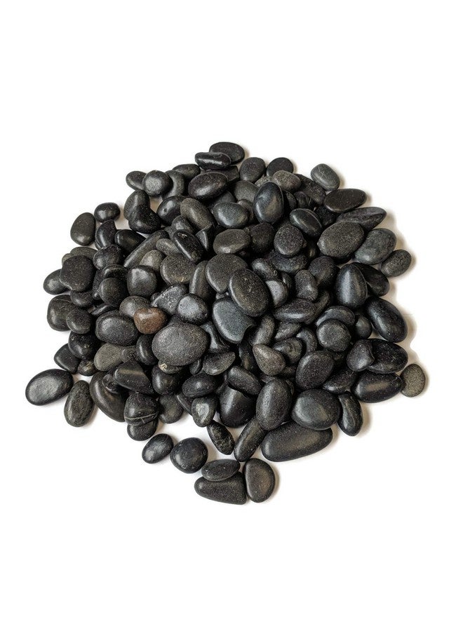 ميدويست هيرث حصى سوداء مصقولة مزخرفة من ميدويست هيرث، مقاس 3/8 بوصة (كيس 2 رطل) - Image 3