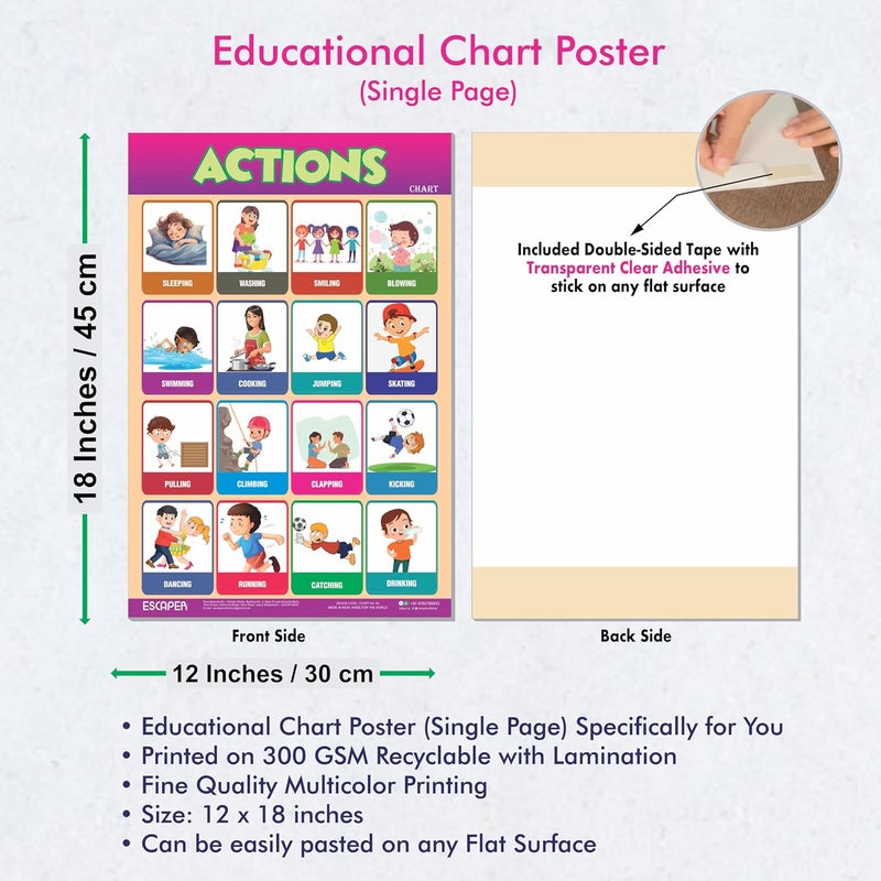 ESCAPER رسوم بيانية تعليمية (11.5 × 17.5 بوصة)، ورق 300 جرام، مغلفة، لاصق ذاتي، ملصقات تعليمية للأطفال، مثالية للتعليم المنزلي، طلاب الحضانة - Image 3