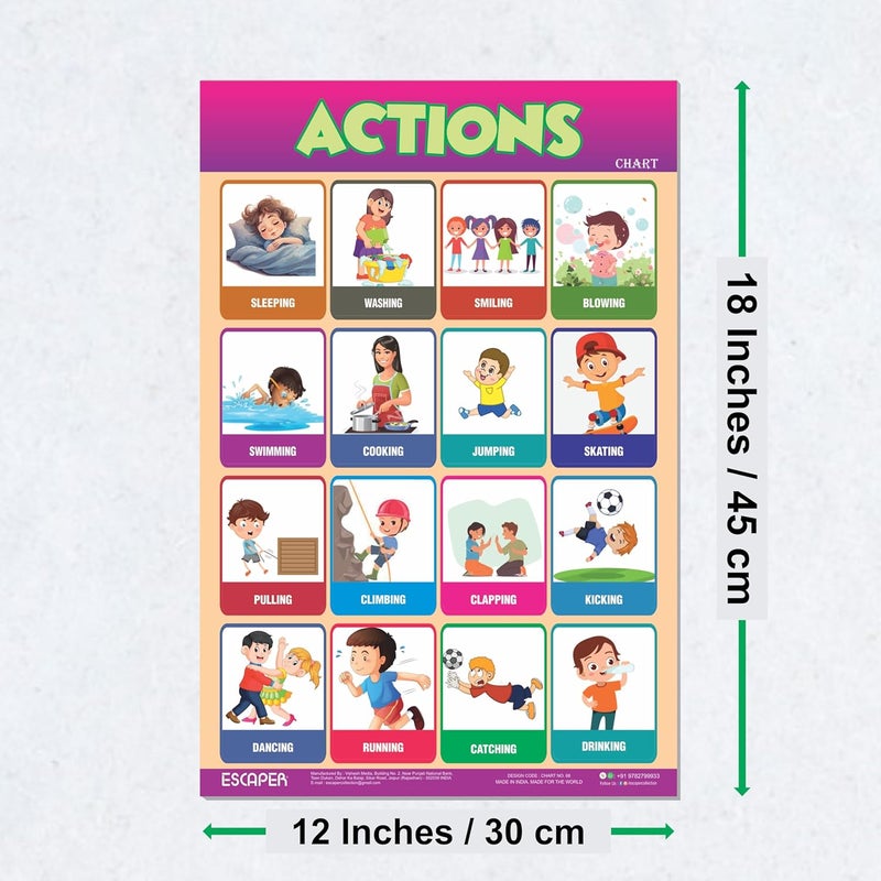ESCAPER رسوم بيانية تعليمية (11.5 × 17.5 بوصة)، ورق 300 جرام، مغلفة، لاصق ذاتي، ملصقات تعليمية للأطفال، مثالية للتعليم المنزلي، طلاب الحضانة - Image 2