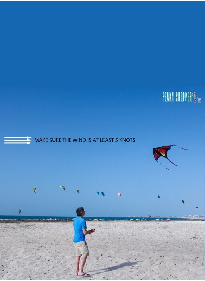 JUMEIRAH BEACH KITE - Jumeirah Beach Kite for Kids & Adults, Str Kites for Beginner with 1.6 Meter Strong Kite String with Winder Handle, Lightweight Kite Paper, Sport & Outdoor Toys Is Great for All Ages - Game of Drogon - Image 1