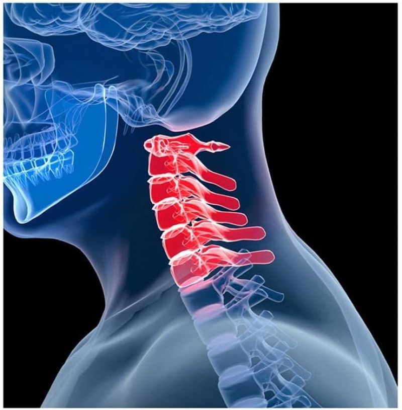 Heated Neck Massager: Sliver, Ergonomic Design - Portable Shiatsu Neck Massager for Home, Office, Travel Relaxation - Image 5