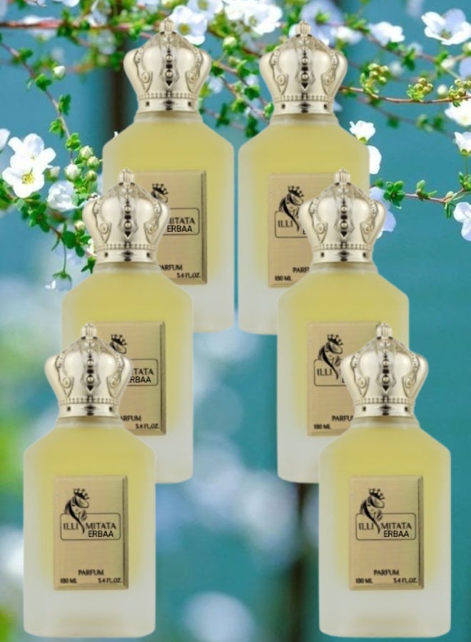 بي إل 6 قطع عطر إليميتاتا إربا 100مل - Image 1