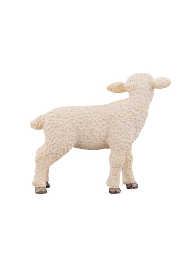 موجو لحم خروف موجو واقف - صغير - Image 3