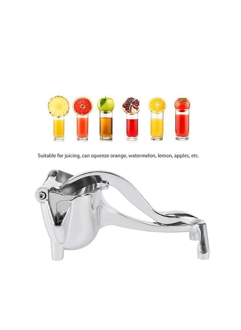 Yuniverse Triangle Diversion Nozzle Manual Fruit Juicer Silver  - Image 1