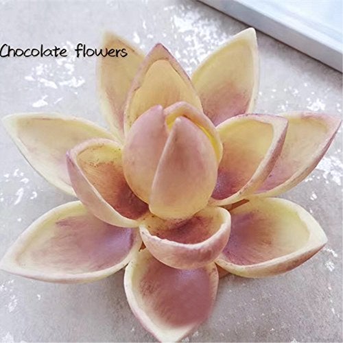GRAINRAIN Polycarbonate Chocolate Mold DIY Candy Mould Clear Hard Plastic Bakeware Pastry Tools Drip (19388) - Image 5