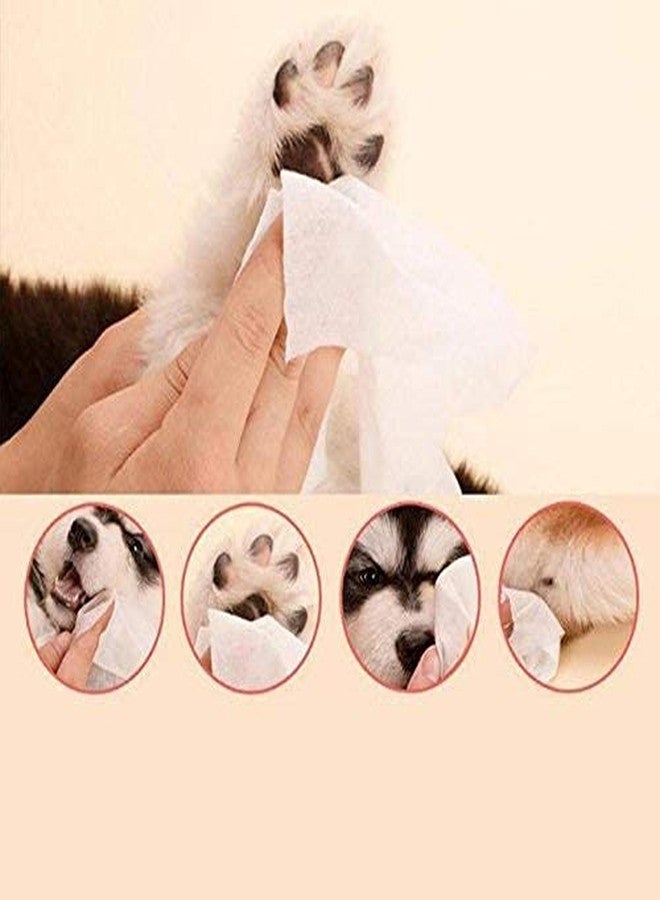 DreamAuro Portable Hygienic Multipurpose 20 Pet Wipes for Cleaning Paws, Face, Eyes, Ears and Stain Remover for Dog/Puppy/Cat/Kitten - Image 3